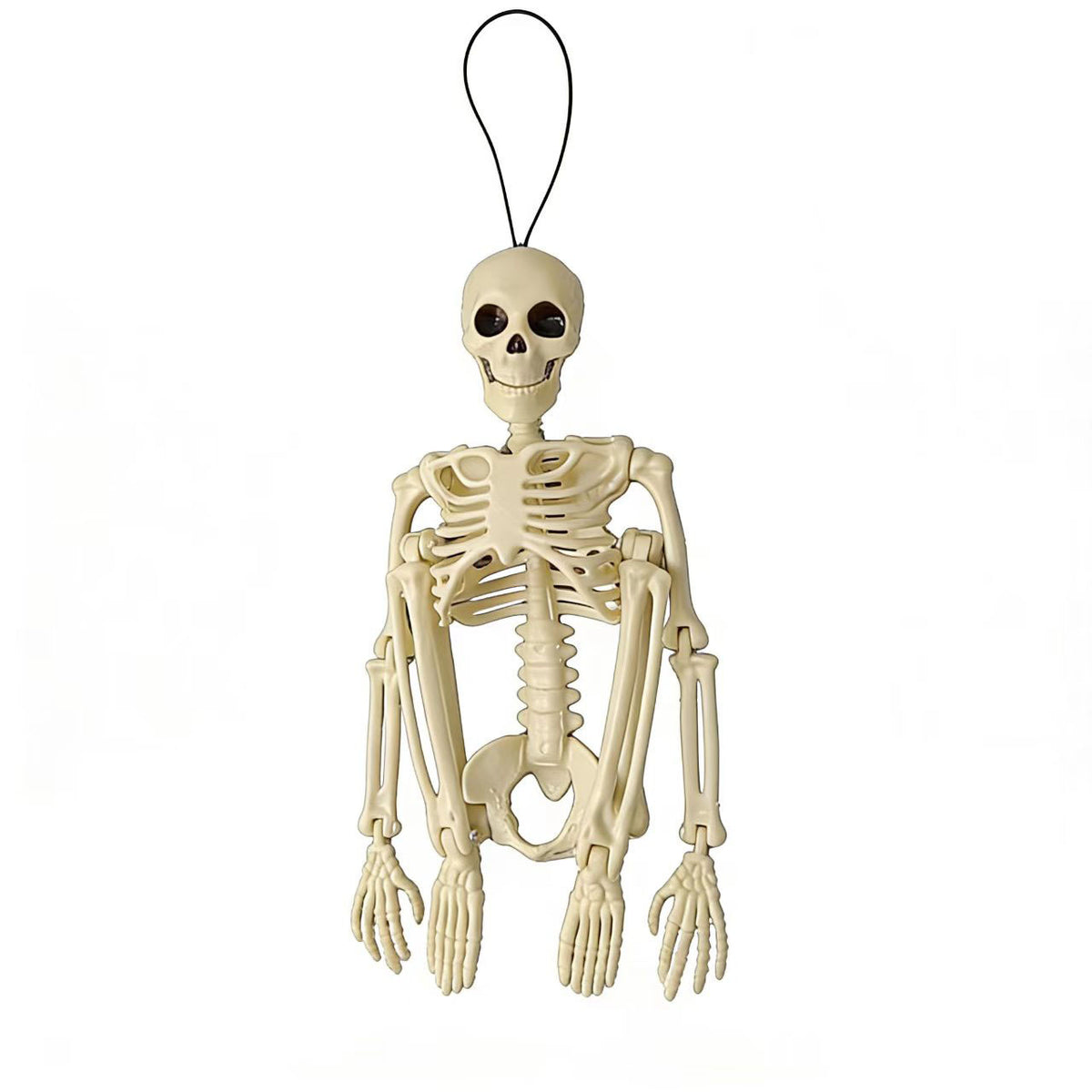 Halloween Horror Skeleton Bones