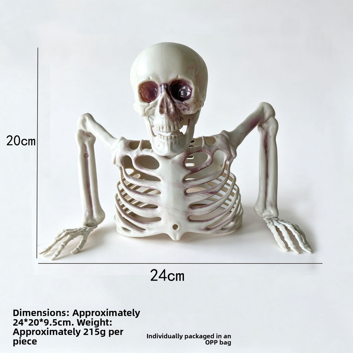 Halloween Horror Skeleton Bones