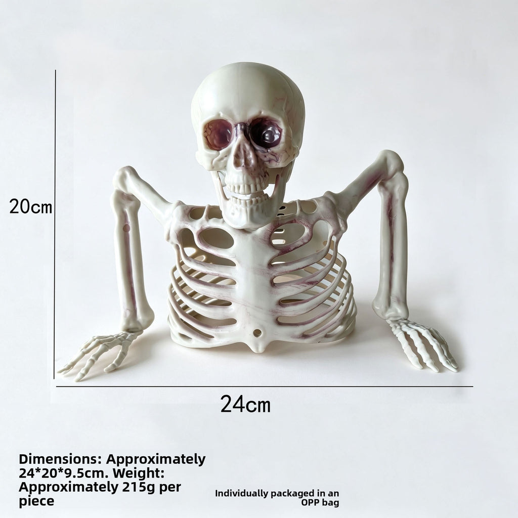 Halloween Horror Skeleton Bones