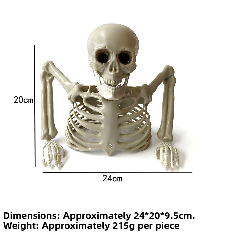 Halloween Horror Skeleton Bones