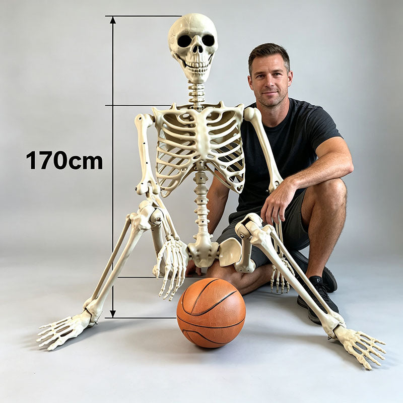 Halloween Skeleton Skeleton