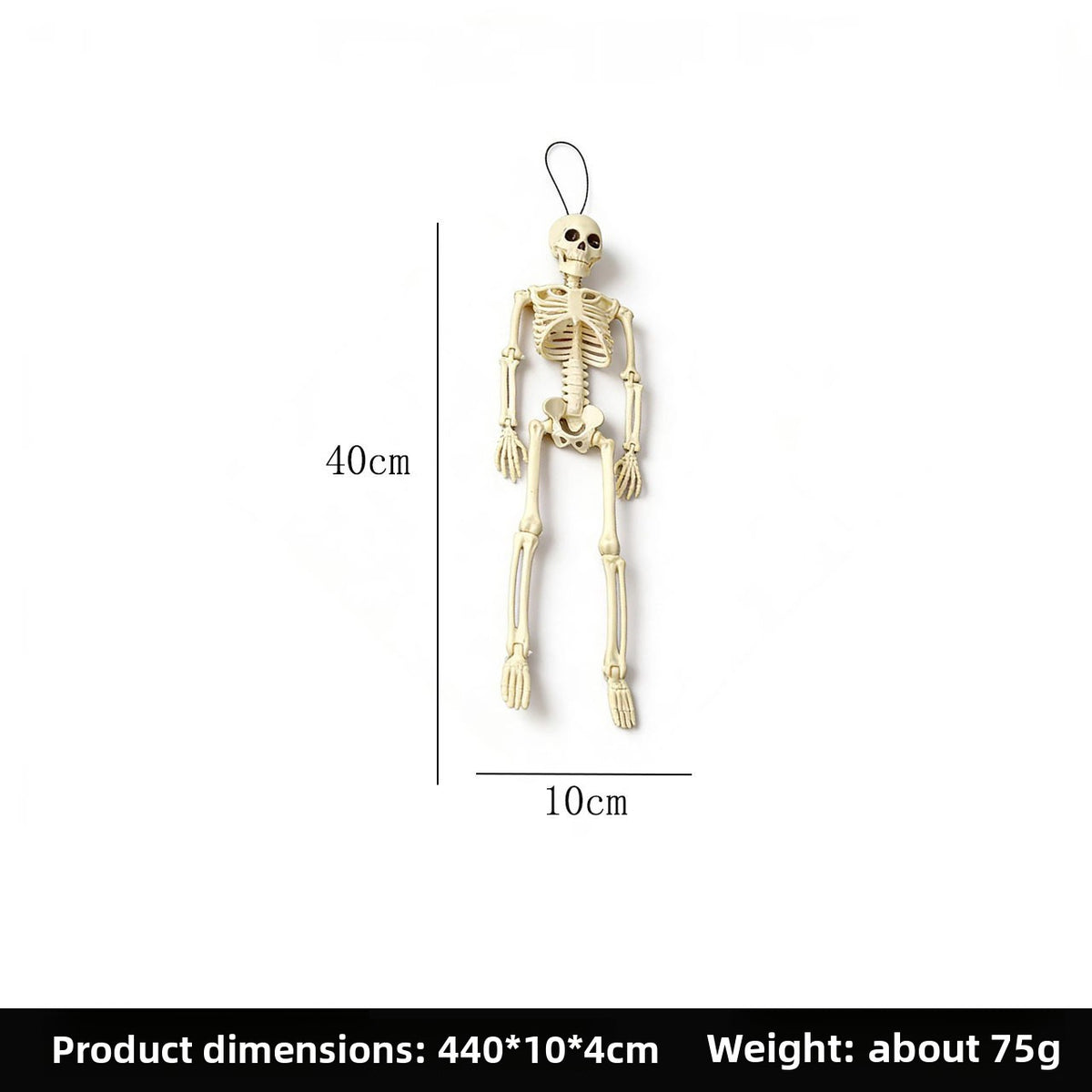 Halloween Horror Skeleton Bones
