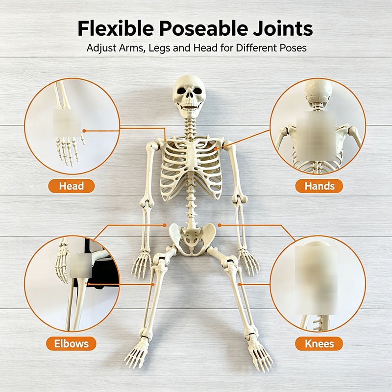 Halloween Skeleton Skeleton